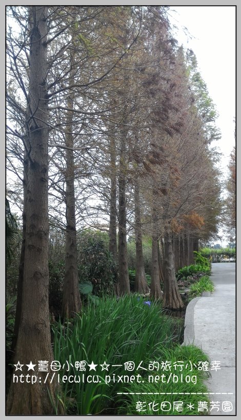 P_20160204_110834.jpg P_20160204_110834.jpg