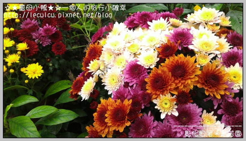 P_20160204_110858_DF.jpg P_20160204_110858_DF.jpg