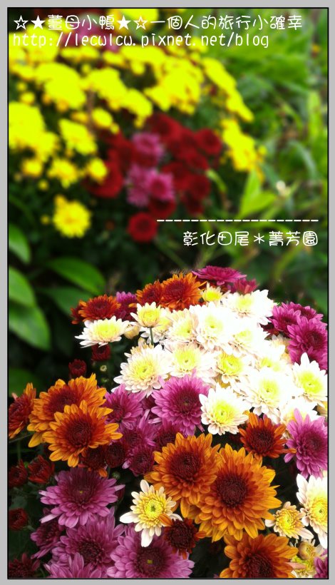 P_20160204_110928_DF.jpg P_20160204_110928_DF.jpg