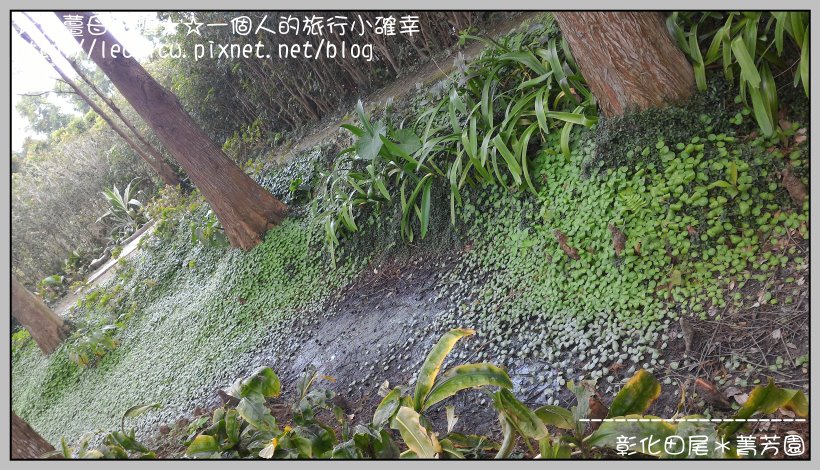 P_20160204_111100.jpg P_20160204_111100.jpg