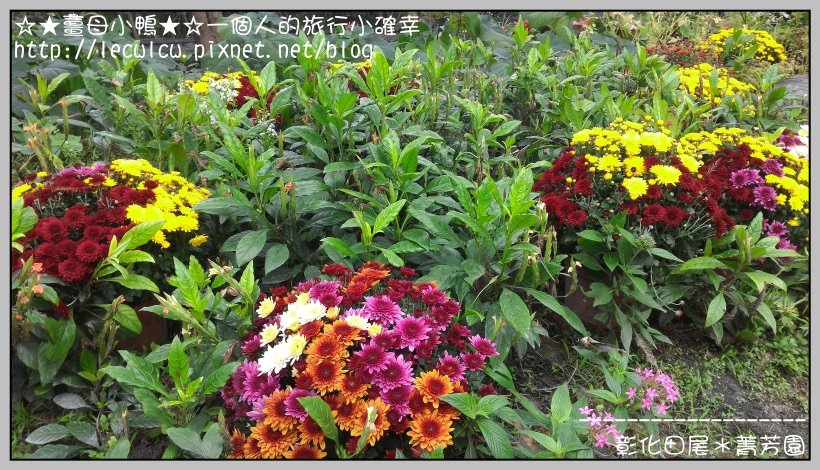 P_20160204_111012.jpg P_20160204_111012.jpg