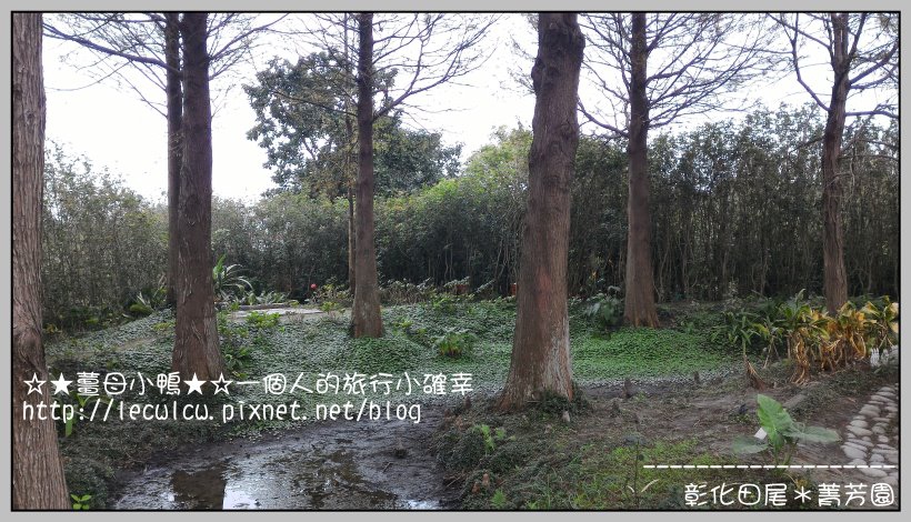 P_20160204_111210.jpg P_20160204_111210.jpg