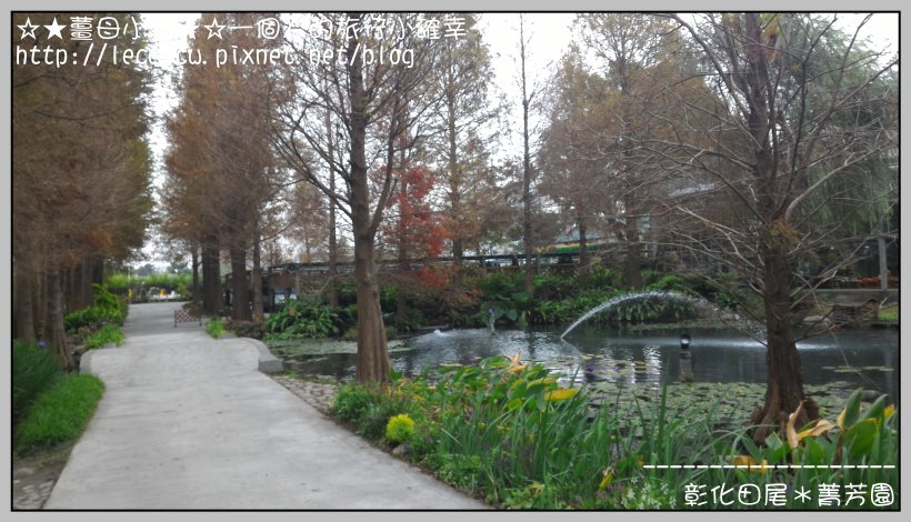 P_20160204_111029.jpg P_20160204_111029.jpg