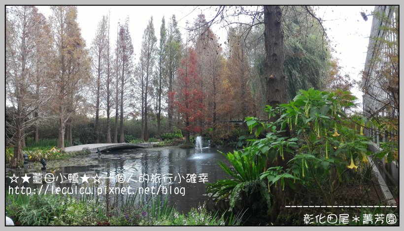 P_20160204_111455.jpg P_20160204_111455.jpg