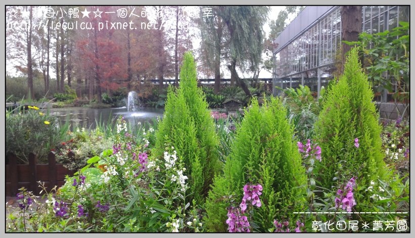 P_20160204_111308.jpg P_20160204_111308.jpg