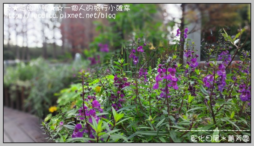 P_20160204_111436_DF.jpg P_20160204_111436_DF.jpg