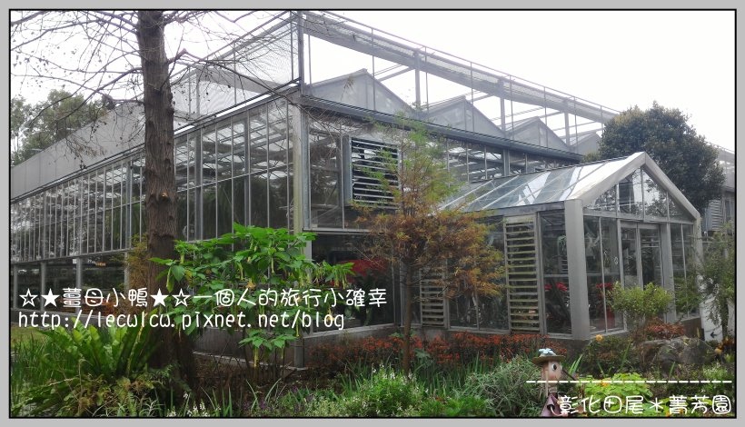 P_20160204_111253.jpg P_20160204_111253.jpg