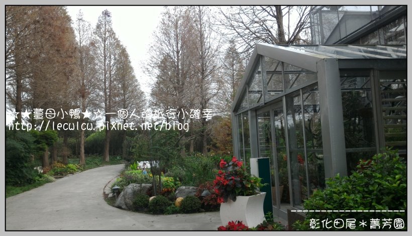 P_20160204_111636_DF.jpg P_20160204_111636_DF.jpg