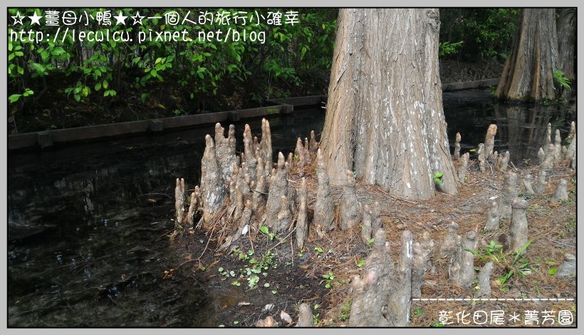 P_20160204_111825.jpg P_20160204_111825.jpg