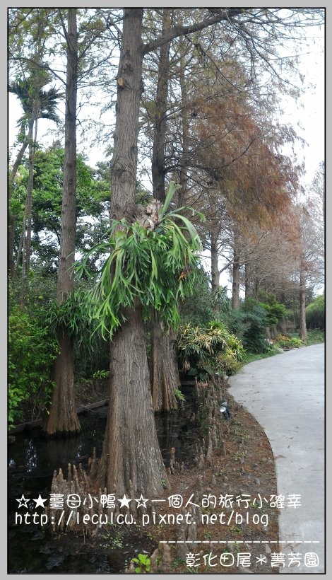 P_20160204_111708.jpg P_20160204_111708.jpg