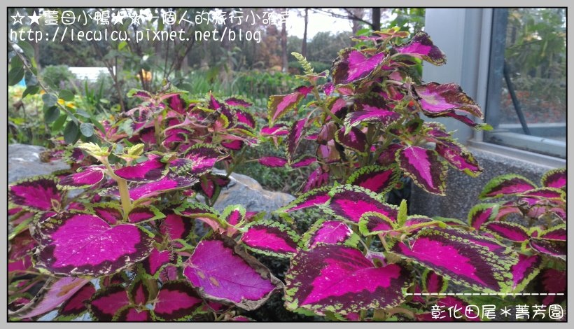 P_20160204_113347_DF.jpg P_20160204_113347_DF.jpg