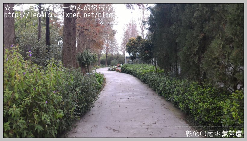 P_20160204_113205.jpg P_20160204_113205.jpg