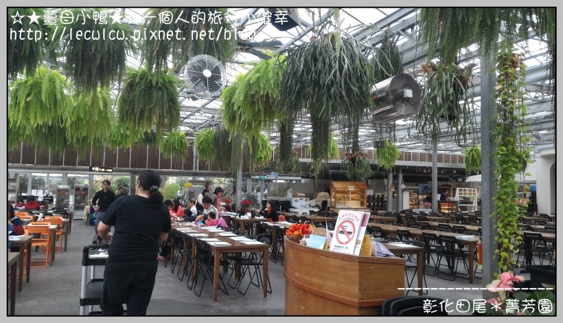 P_20160204_113419.jpg P_20160204_113419.jpg