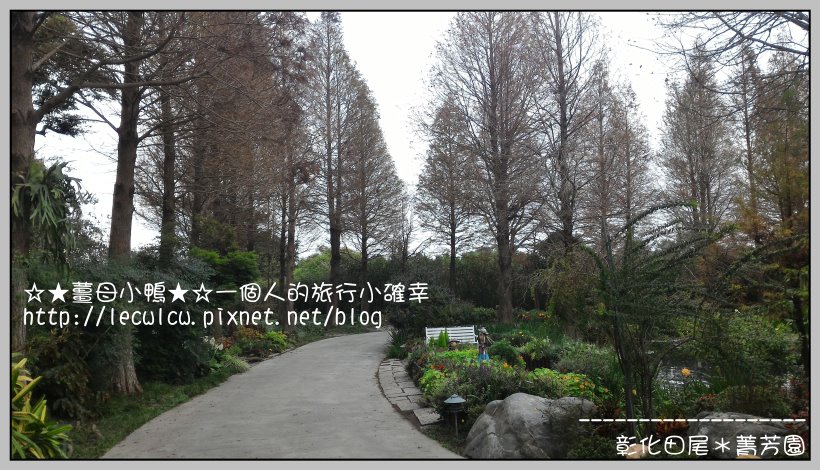 P_20160204_113320.jpg P_20160204_113320.jpg