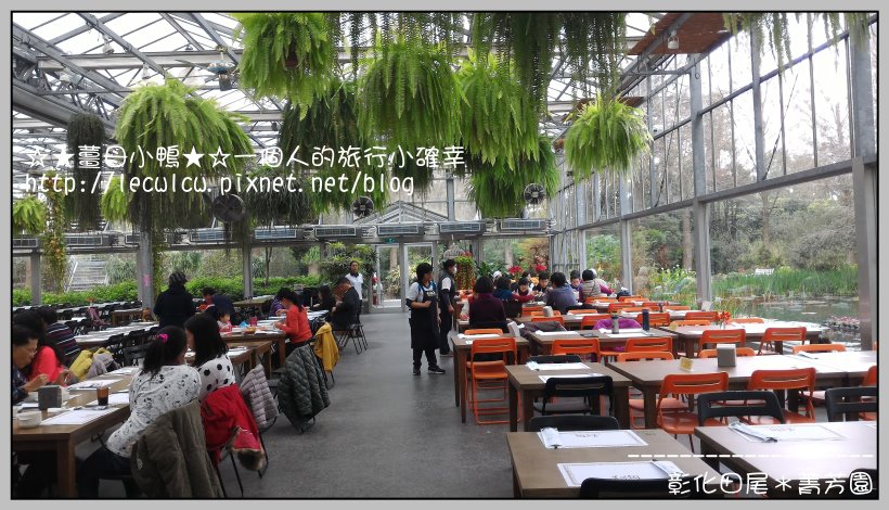 P_20160204_114213.jpg P_20160204_114213.jpg