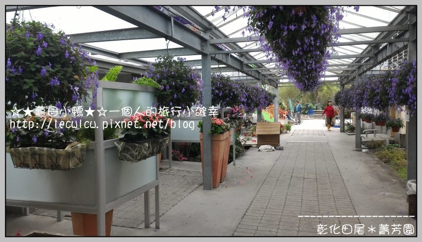 P_20160204_120927.jpg P_20160204_120927.jpg