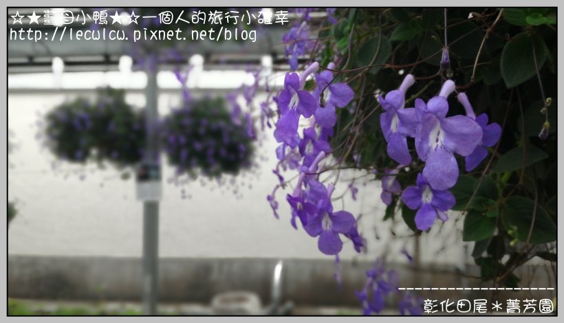 P_20160204_121214_DF.jpg P_20160204_121214_DF.jpg