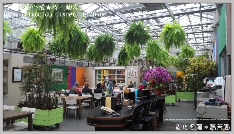 P_20160204_131614.jpg P_20160204_131614.jpg