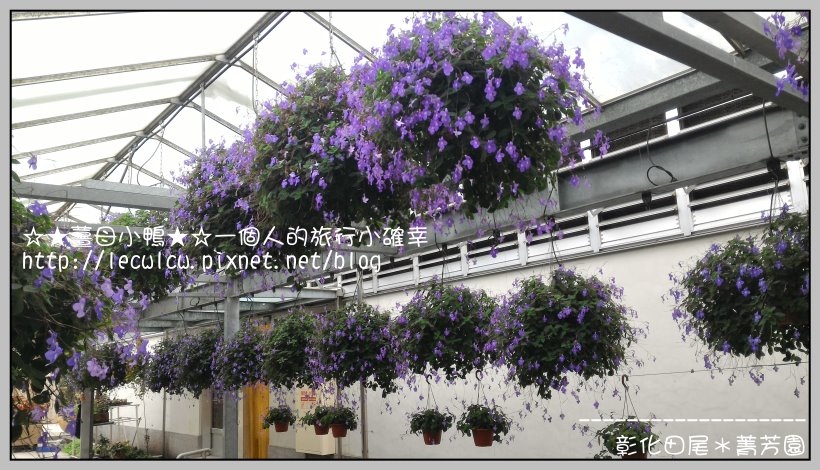 P_20160204_121232.jpg P_20160204_121232.jpg