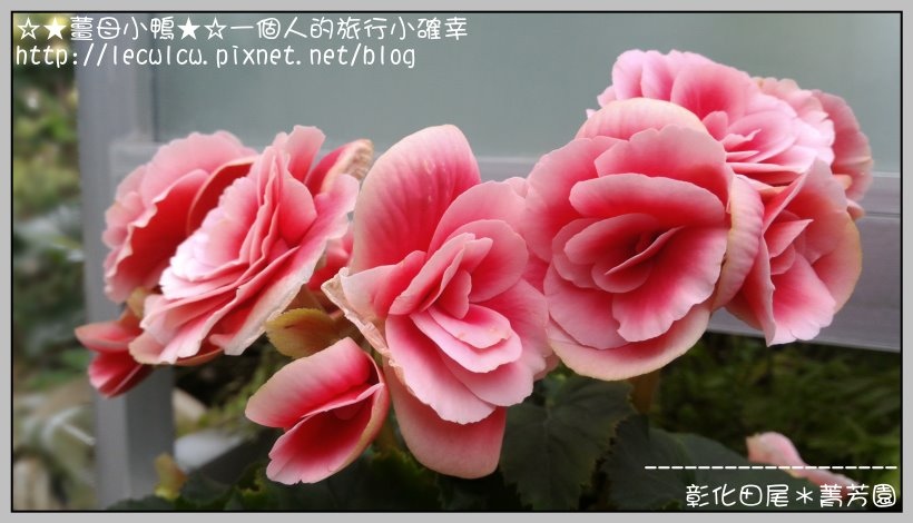 P_20160204_121257_DF.jpg P_20160204_121257_DF.jpg