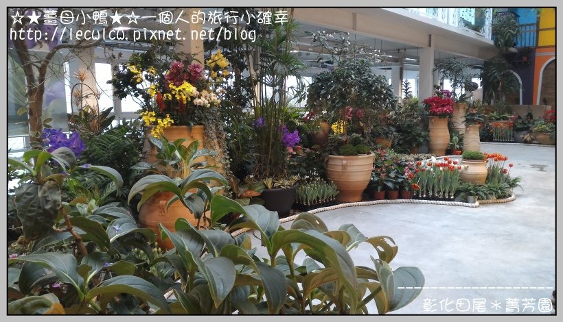 P_20160204_131925.jpg P_20160204_131925.jpg