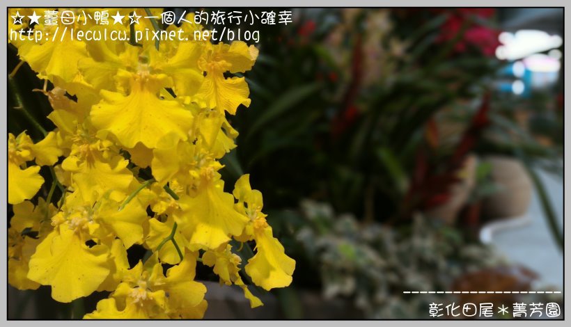 P_20160204_132202_DF.jpg P_20160204_132202_DF.jpg