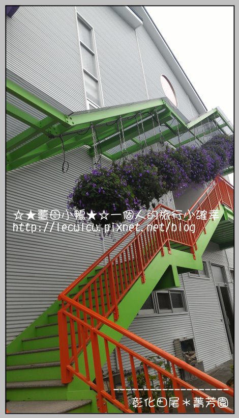 P_20160204_131749.jpg P_20160204_131749.jpg