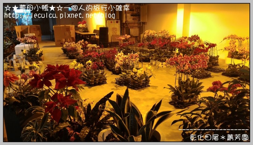 P_20160204_131852.jpg P_20160204_131852.jpg