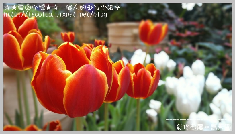 P_20160204_132045_DF.jpg P_20160204_132045_DF.jpg