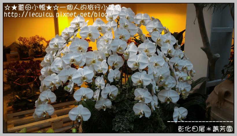 P_20160204_132017_DF.jpg P_20160204_132017_DF.jpg