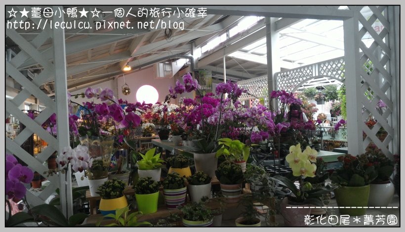 P_20160204_132554_DF.jpg P_20160204_132554_DF.jpg