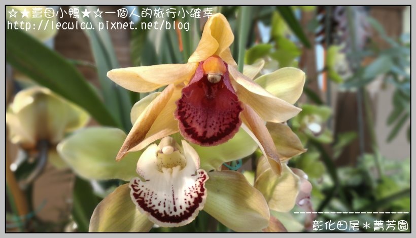 P_20160204_132432_DF.jpg P_20160204_132432_DF.jpg