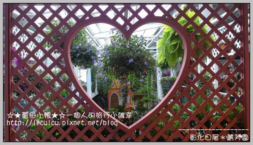 P_20160204_132850.jpg P_20160204_132850.jpg