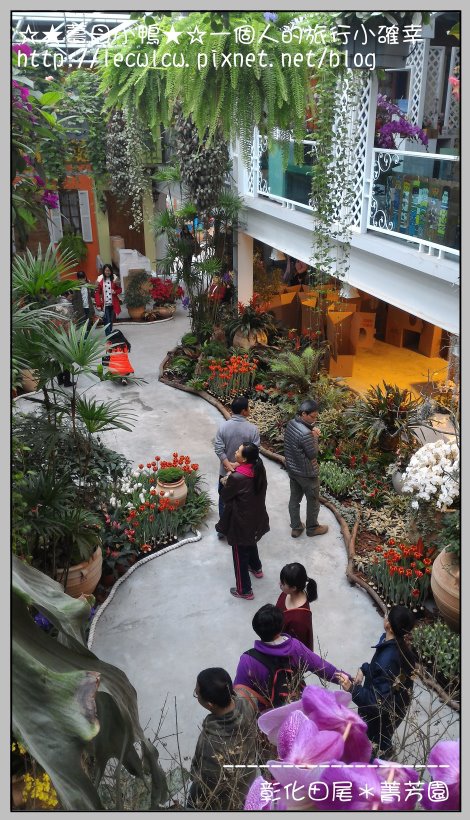 P_20160204_133009.jpg P_20160204_133009.jpg