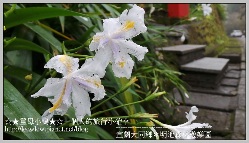 20170131_110802.jpg 20170131_110802.jpg