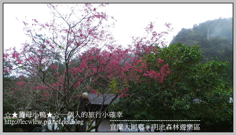 20170131_124030.jpg 20170131_124030.jpg