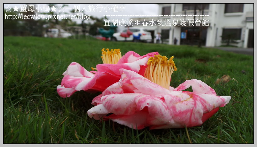 20170201_085910.jpg 20170201_085910.jpg