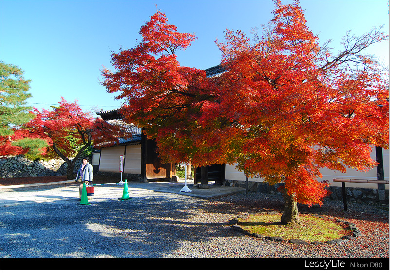 05-天龍寺1.jpg