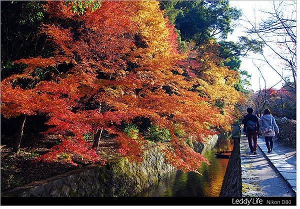 09-哲學之道4.jpg