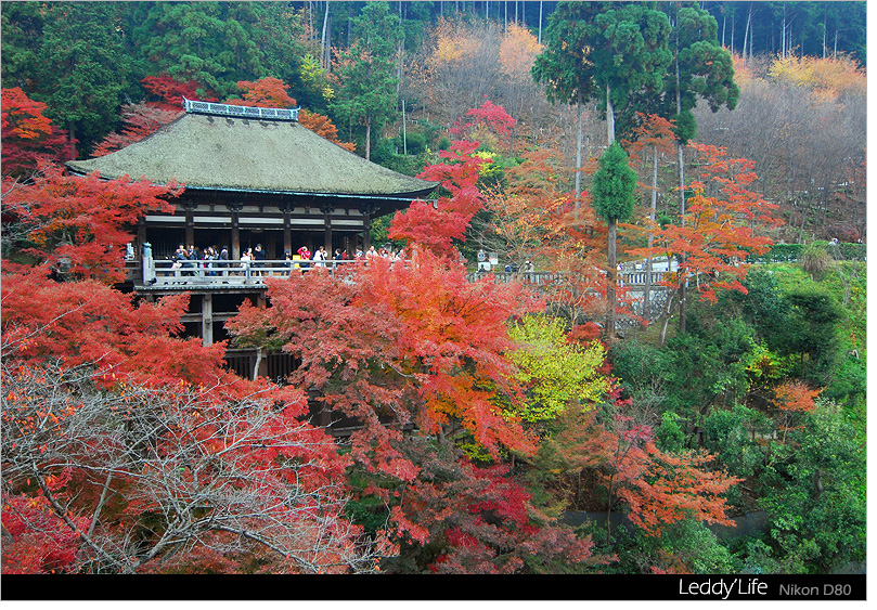 11-清水寺2.jpg