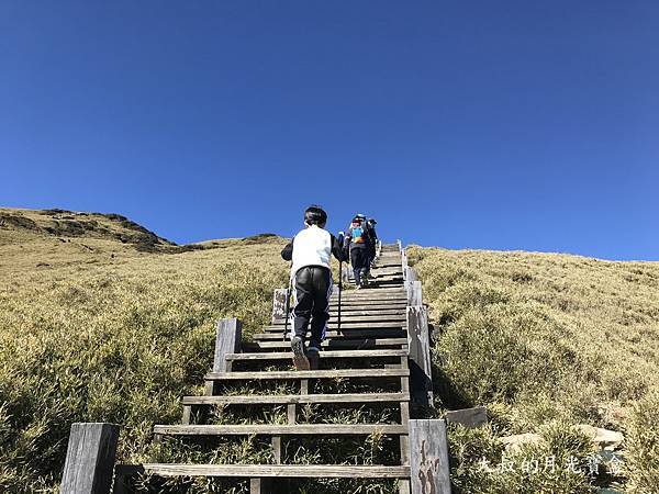 IMG_1619.JPG IMG_1619.JPG