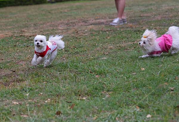 nEO_IMG_8F4A3464.jpg nEO_IMG_8F4A3464.jpg