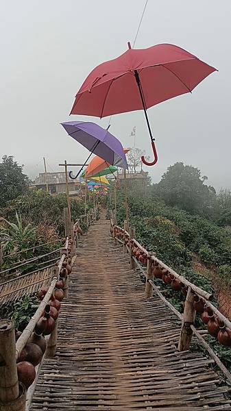 2023清邁、清萊自由行（7）－磐禧村的竹橋