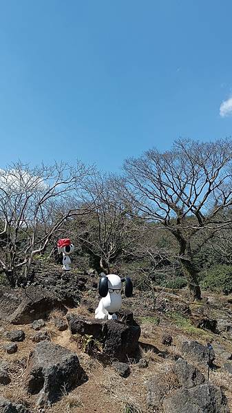 2024韓國濟州島自由行（10）－SNOOPY GRADEN