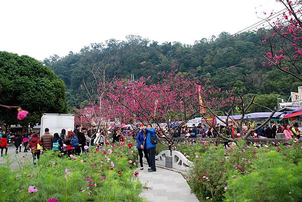 DSC_4277.jpg DSC_4277.jpg