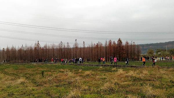 P_20170227_133023.jpg P_20170227_133023.jpg
