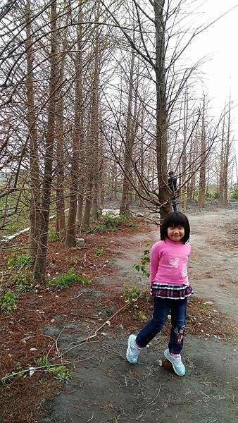 P_20170227_134038.jpg P_20170227_134038.jpg