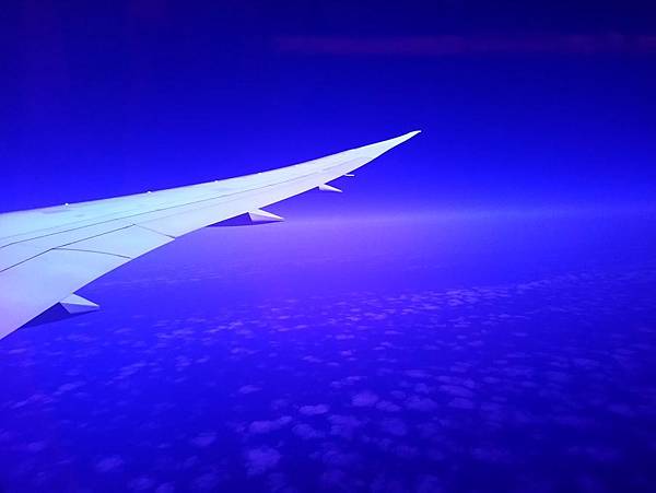 羅吐魯阿 (3).JPG