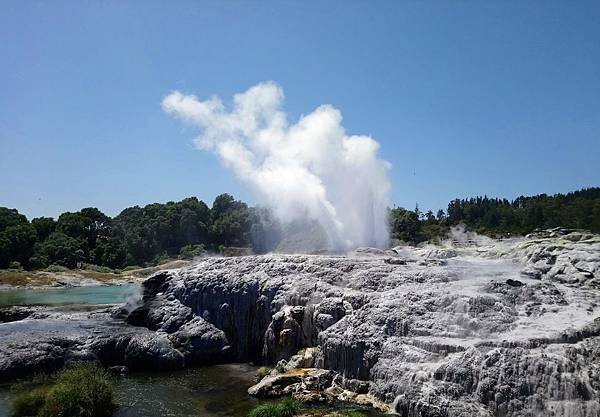 羅吐魯阿 (1).JPG