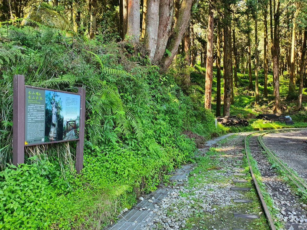 山水線步道 (1).jpg